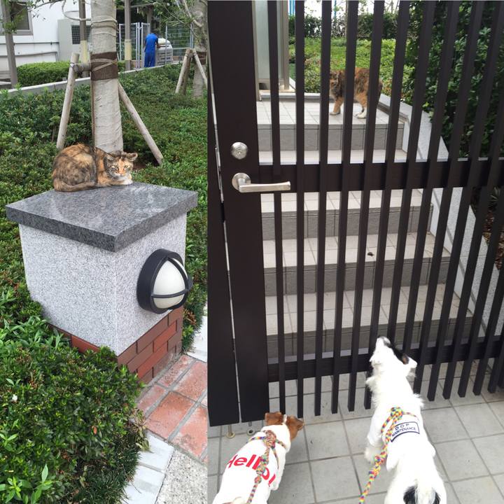 76999c49 9c82 474f b1e1 4789dbd14d5e