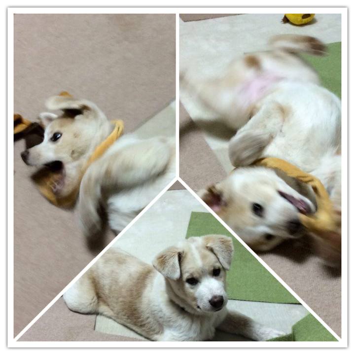 769a408a 46f7 44ef 9062 ce9cae793f85