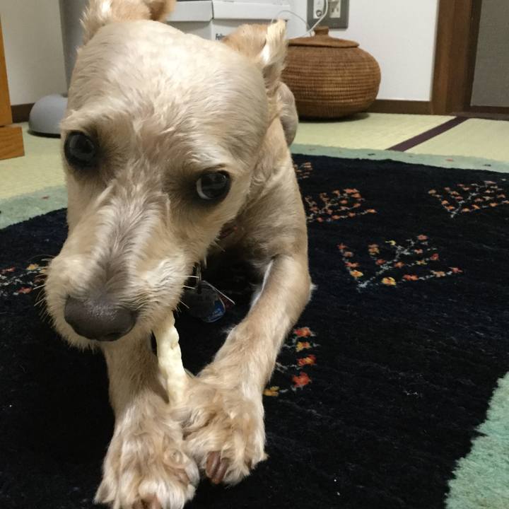 769a65fd 3461 4720 a9cf cdc99c3766aa