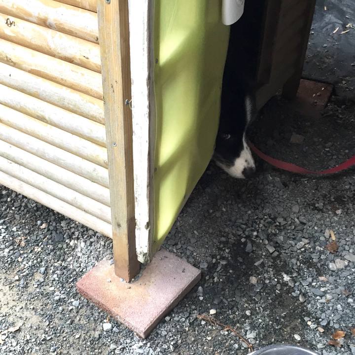 769ad68d d64e 41b7 9628 168b437e18f9