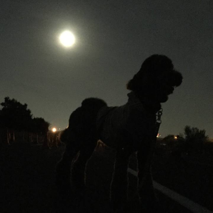 769b0f1e c4d5 47c0 aa06 57a29a9efc32