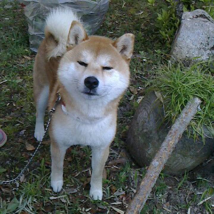 769b4b09 c1eb 4b93 9886 c86afc0c0056