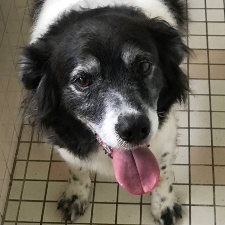 769bc98f e09c 46f2 8a42 5b745488a9bc