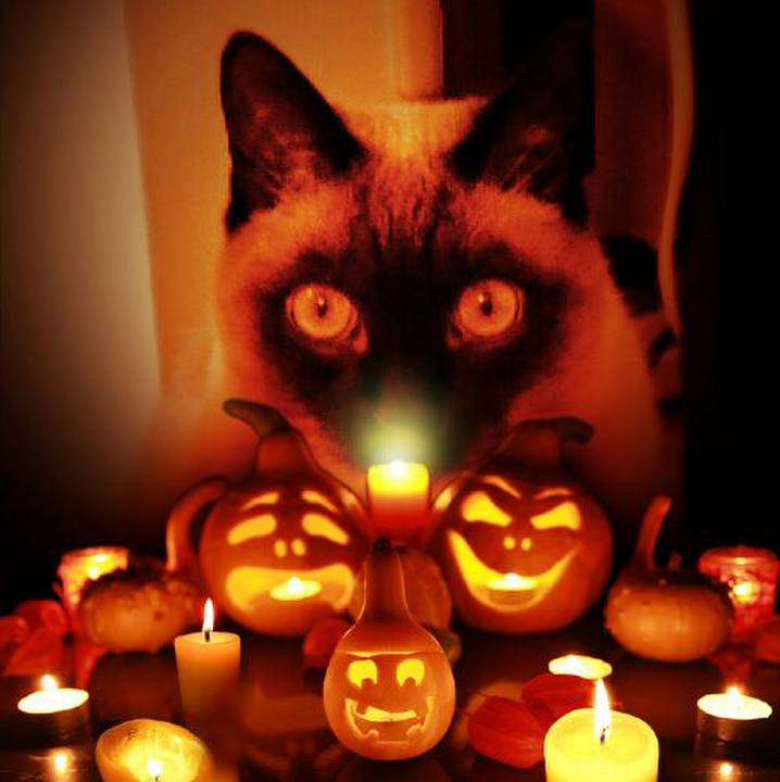 769c1800 b386 44cd b9ff 9efbcc268ffd