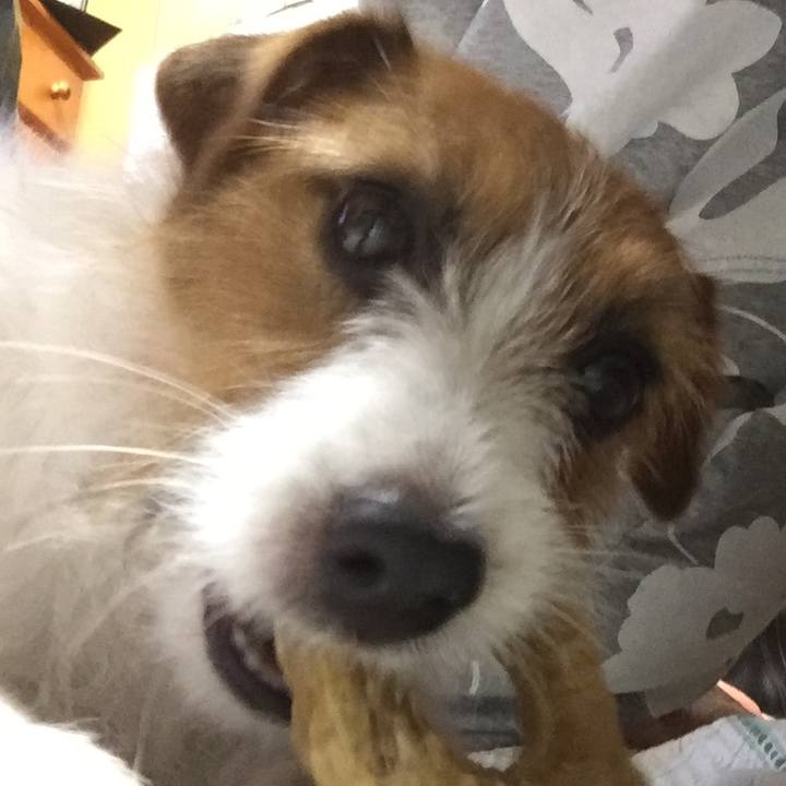 769c2b9a 7a5a 4e53 912c f40223aa7f92