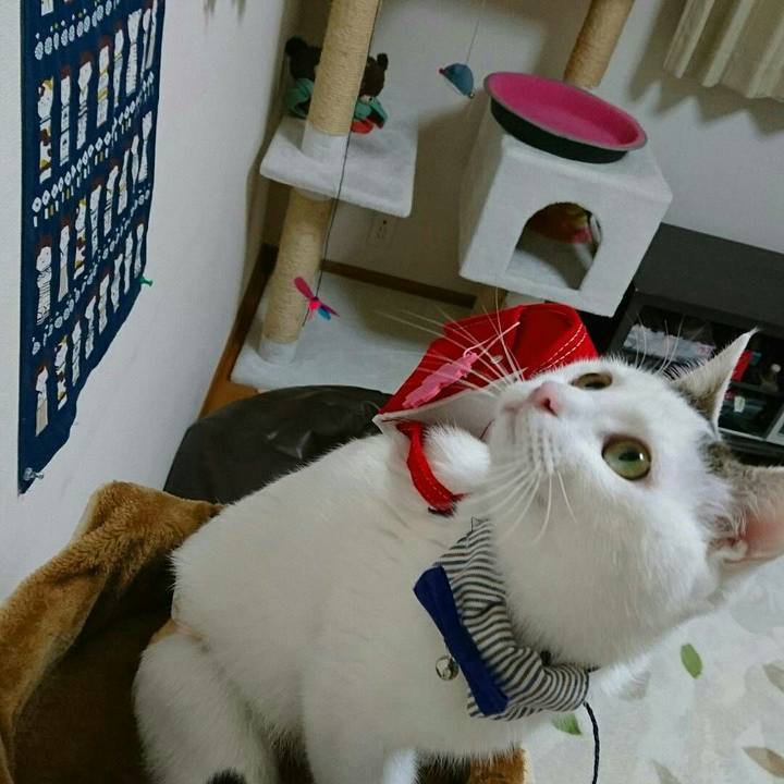 769d304b e33e 4da2 8b9f 31bf31877124