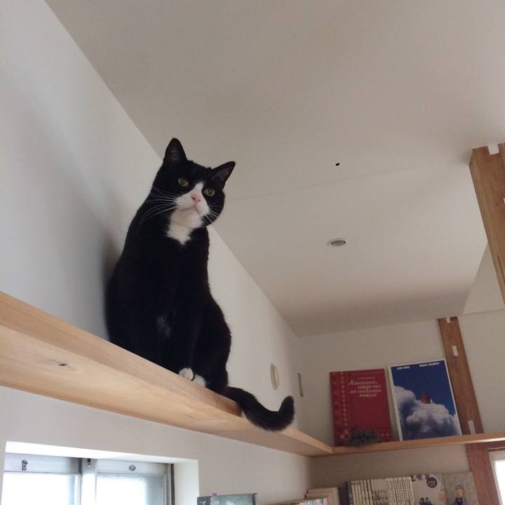 769d6dc4 c5cd 4c6d 8216 e4804d1be380