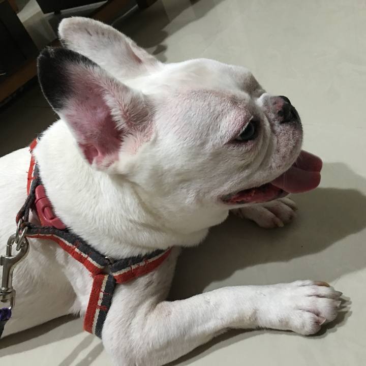 769e2556 80ce 43c7 9bbd ce31c0714181