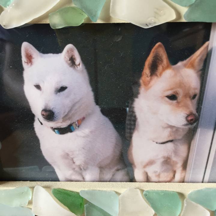 769eb1b9 164c 49f6 96d8 78bafdc81d1a