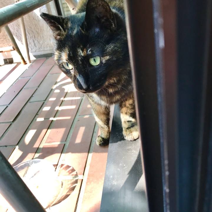 769edb80 7f43 49ce b813 95cc604b6099