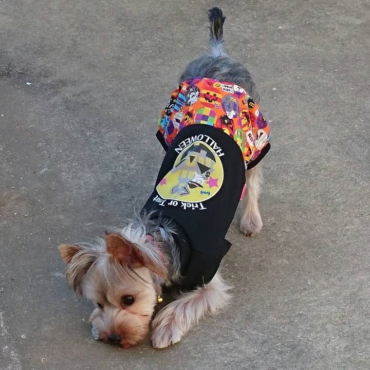 769f9ab1 8a88 457a b3db 1b4598b26a53