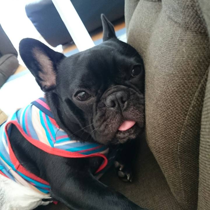 769fbed3 7a96 424a 86d1 c4da46f6d1e4