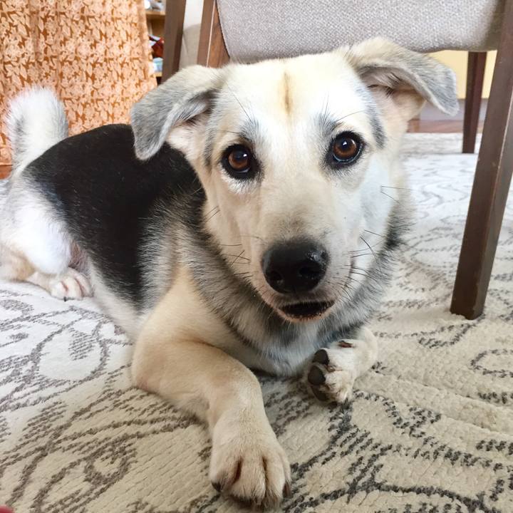 76a104ed 8849 40d2 b9a4 3d44a17e8374