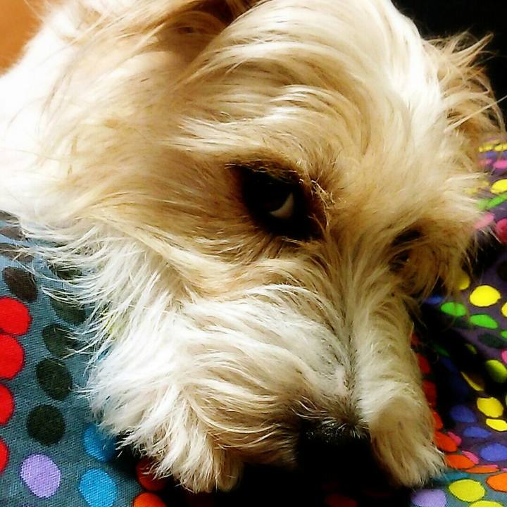 76a1b9e4 dc53 4bea a5fe 58c9d20a2e86