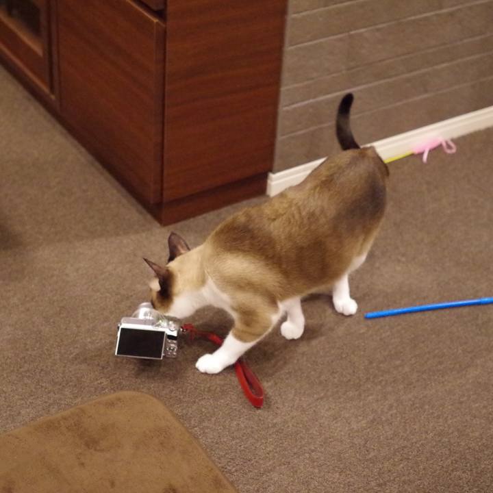 76a1eeb9 31b9 4f07 802c 8e912b194062