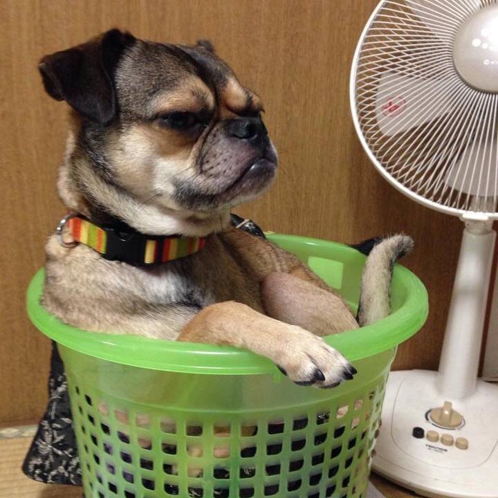 76a21dbe ae53 4c67 8748 7947cff029f8