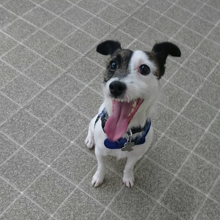 76a2250c 7b96 4c42 985b 6b09c0ac31fe