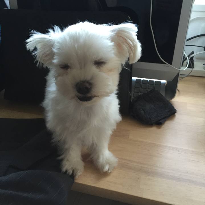 76a31e4f b4b1 4c13 9753 2811a38d05b0