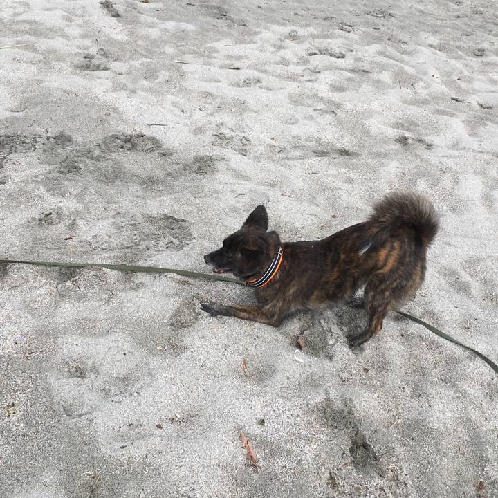 76a59a73 ed6c 4e5b 9505 92b7347b4112