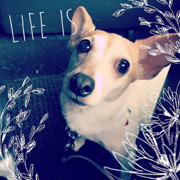 76a5da2c dfea 43ff a2d3 8bdbbfaa2284