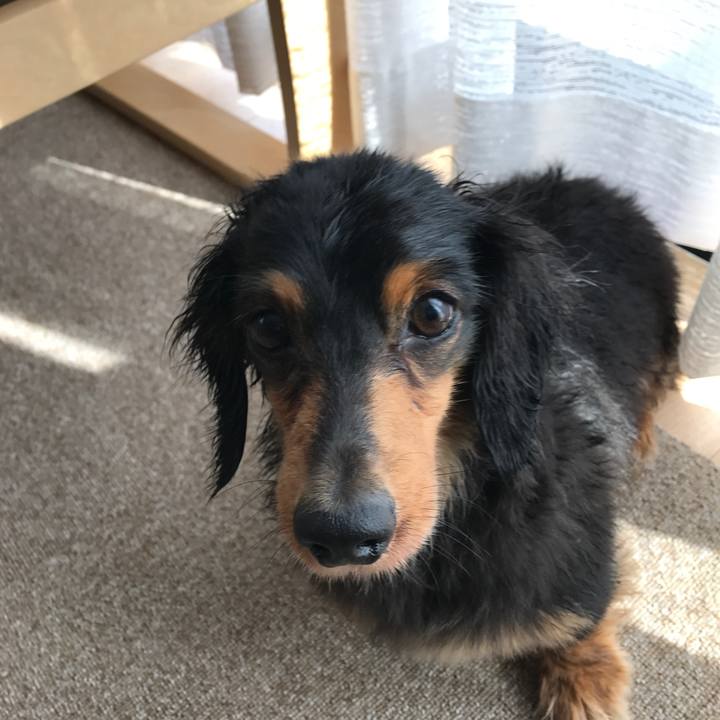 76a5f78a c903 474c b513 13f2d01f02b4