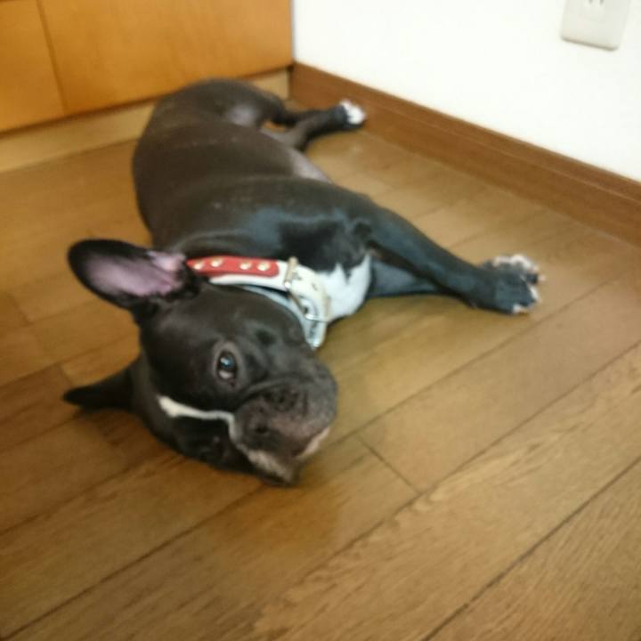 76a63082 aa52 4bf4 afff 8396204079ba