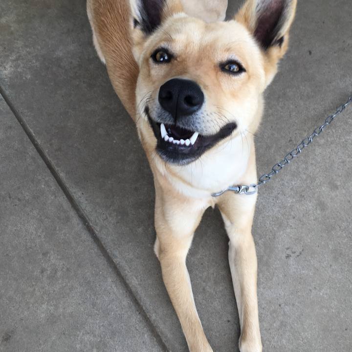 76a63cb5 9bdd 48c5 8352 ca660939ae8e