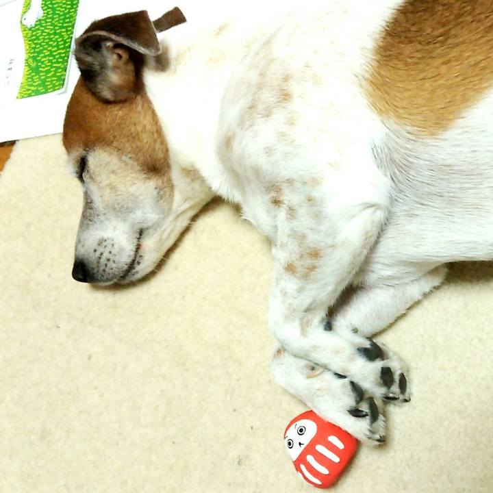 76a67061 e181 4d5b 839a 372a1a9e2862