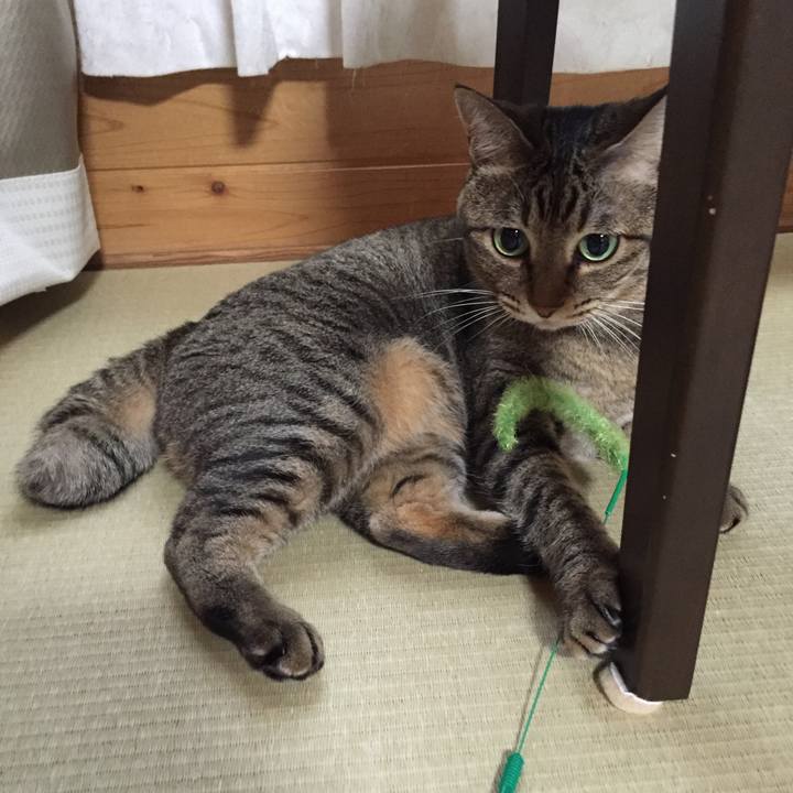 76a680d9 3d43 4f3a 9ada 73f8a71c2294