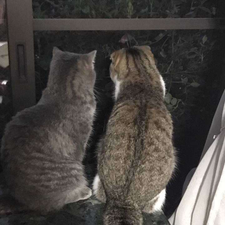 76a6d2f8 ee2a 41ea 8887 d4fc534955de