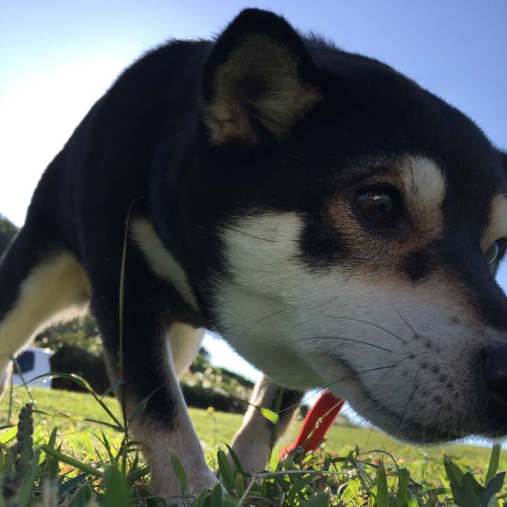 76a6df8c 1607 459e b48d ee25e03ac8d2