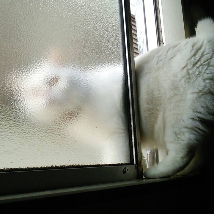 76a6ec6d 335f 47a2 967f 4cd75f32a4f1