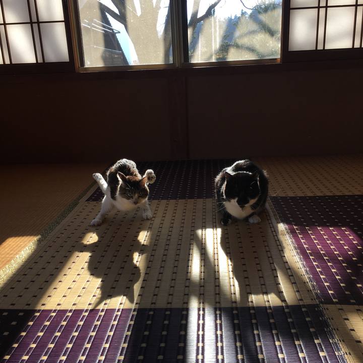 76a72893 6cdf 4d2b 8ab3 c77e97f77812