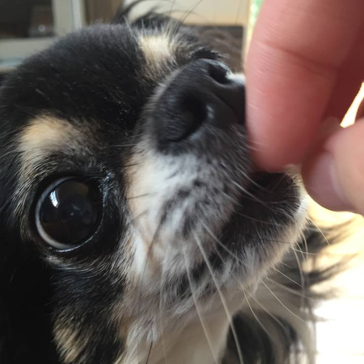 76a7a4d5 d7af 4620 bd3b 951fb7e3ad92