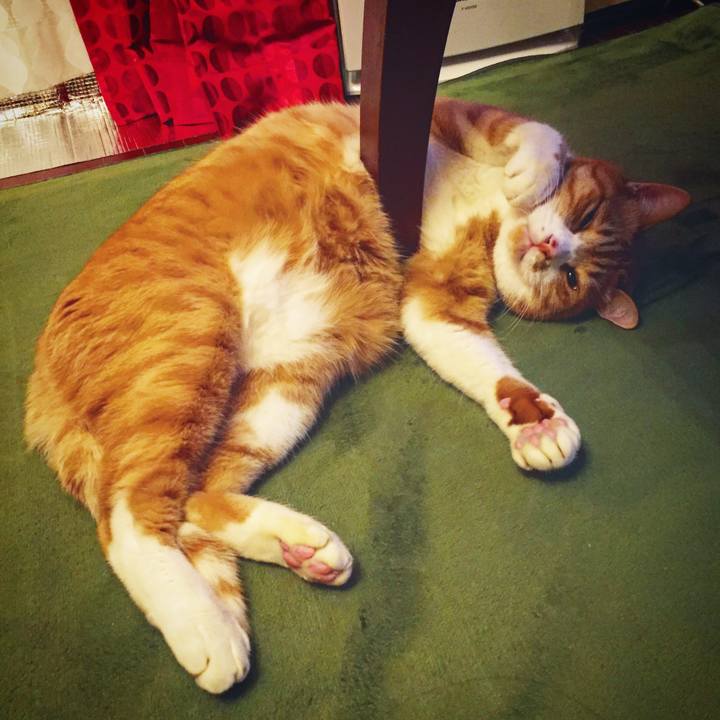 76a93586 2bc5 4c60 96bb fc3268b587ed