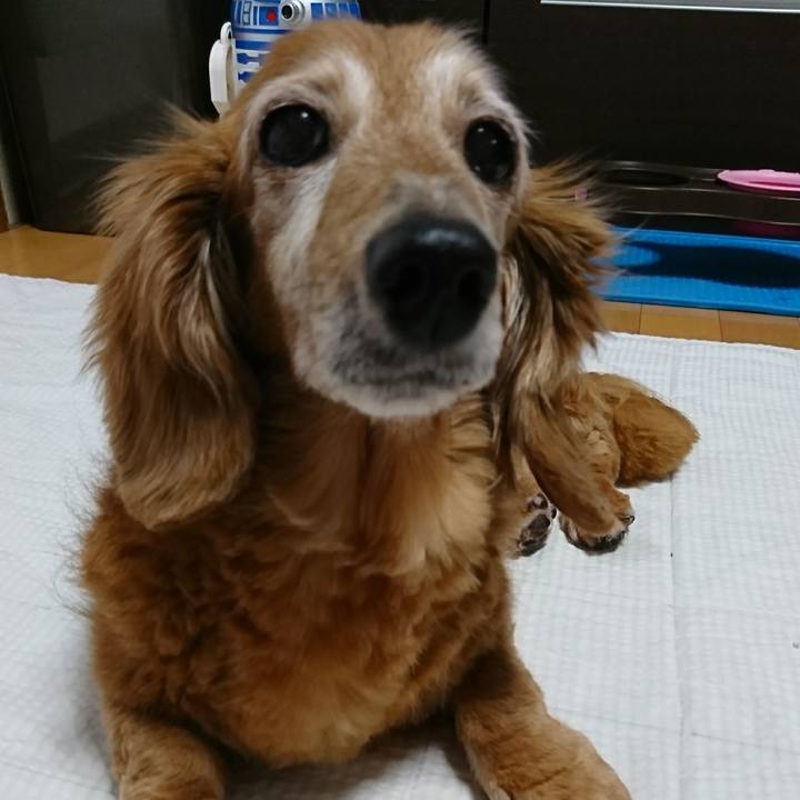 76a94458 cb8b 44ae b202 3617ed1b4914