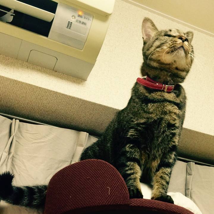 76a9aac0 d8ae 4673 b268 7e87e03947e7