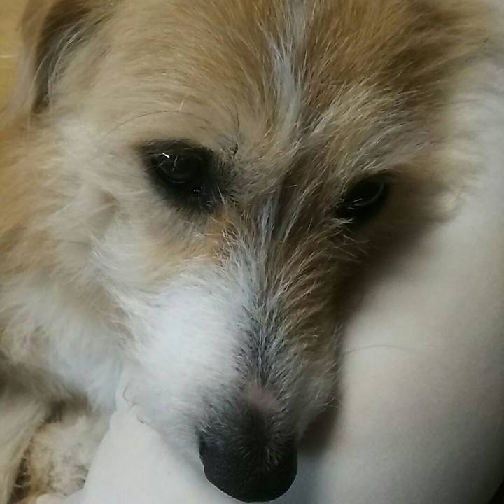 76a9becf 21a8 4377 a6c9 e553d1bbf950