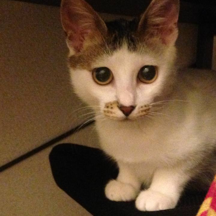 76a9ef66 8f32 4558 b61e d8e3e6c07bdb