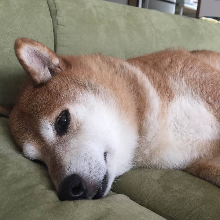 76aa9fe4 2642 4ce8 9cba fb877d255246