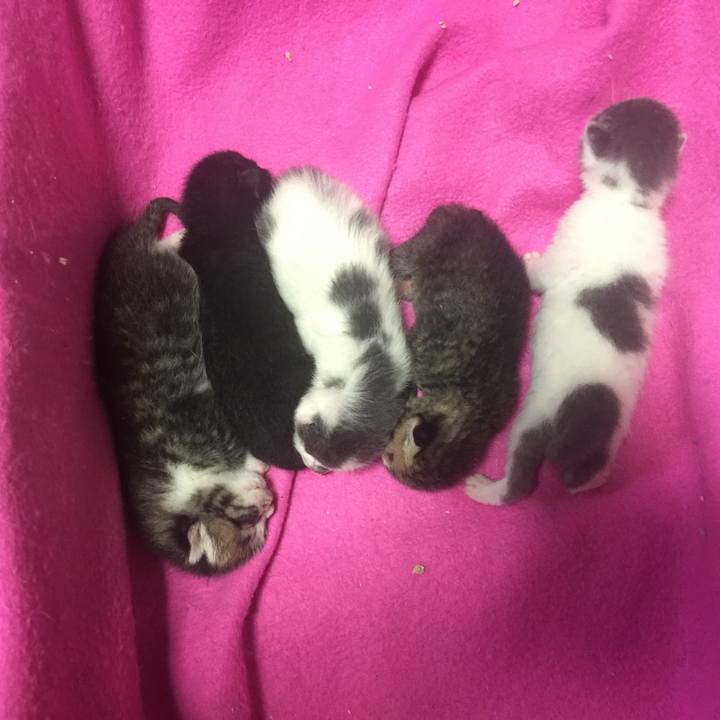 76abb897 c8f2 4578 b426 deba0c3cddcf