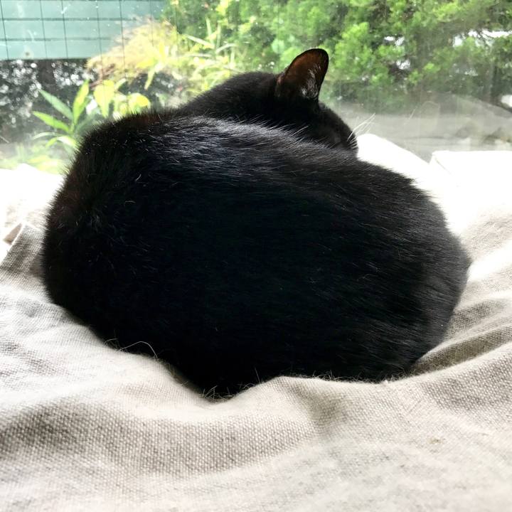 76acdd02 6207 4c3f add6 3c5526ba758e