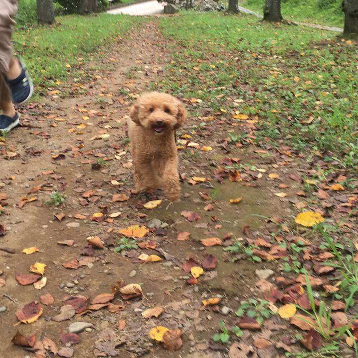 76ad2997 b7b5 4d0a 8eb5 797ef8defa9c