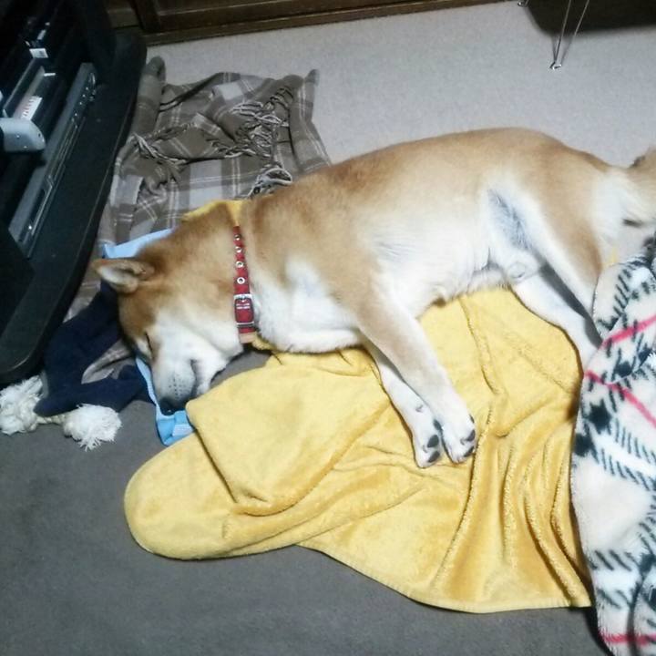 76aeac10 66d7 479a 8e91 7e0ca228a9ec