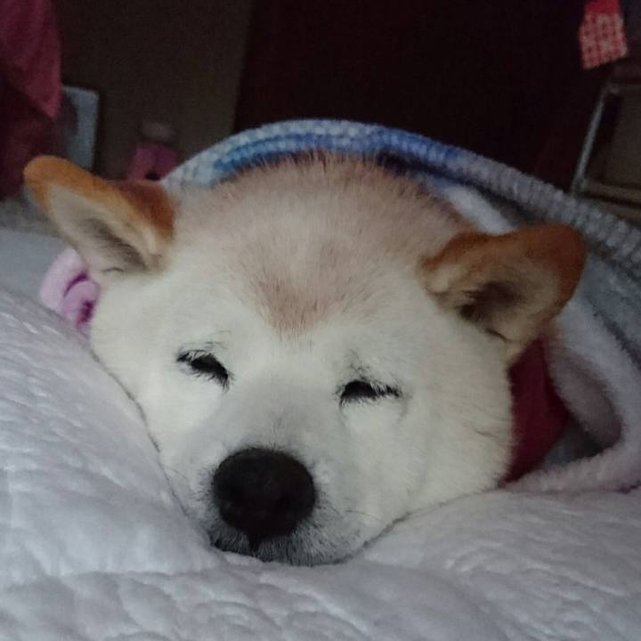 76aee0d0 e9df 4618 b78f 6adfc98d76b0