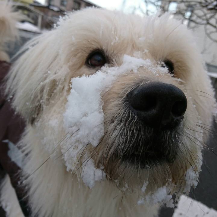 76aee6fd a208 4bb5 8102 c1c6116c1a19