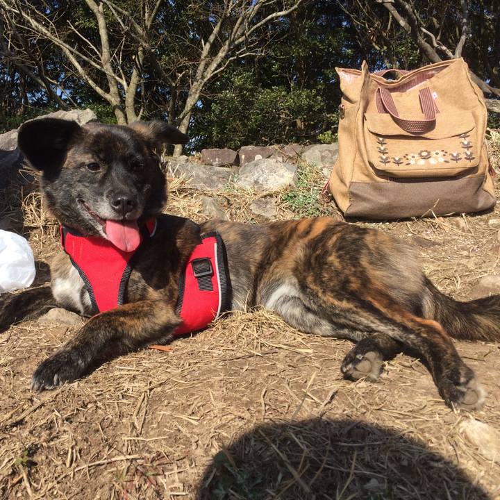 76af0acd 23ec 4c40 890c 2df0cc865e83