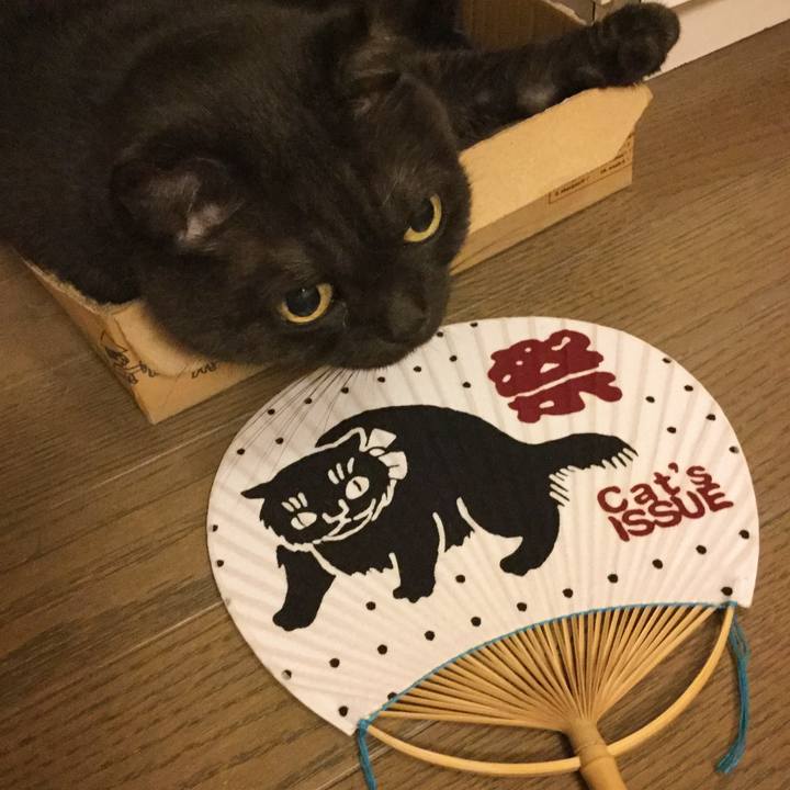 76af6259 bc68 4cdc b54b 5e922f57d787