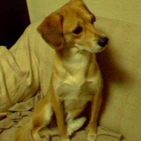 76afa5a0 8eee 4e55 b833 3638dd5cb951