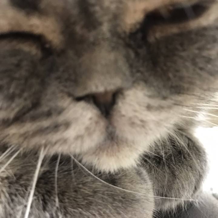 76afd579 f61a 4b18 a686 a7396275c1fa